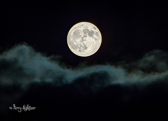 Hunter's Full Super Moon By Terry Aldhizer